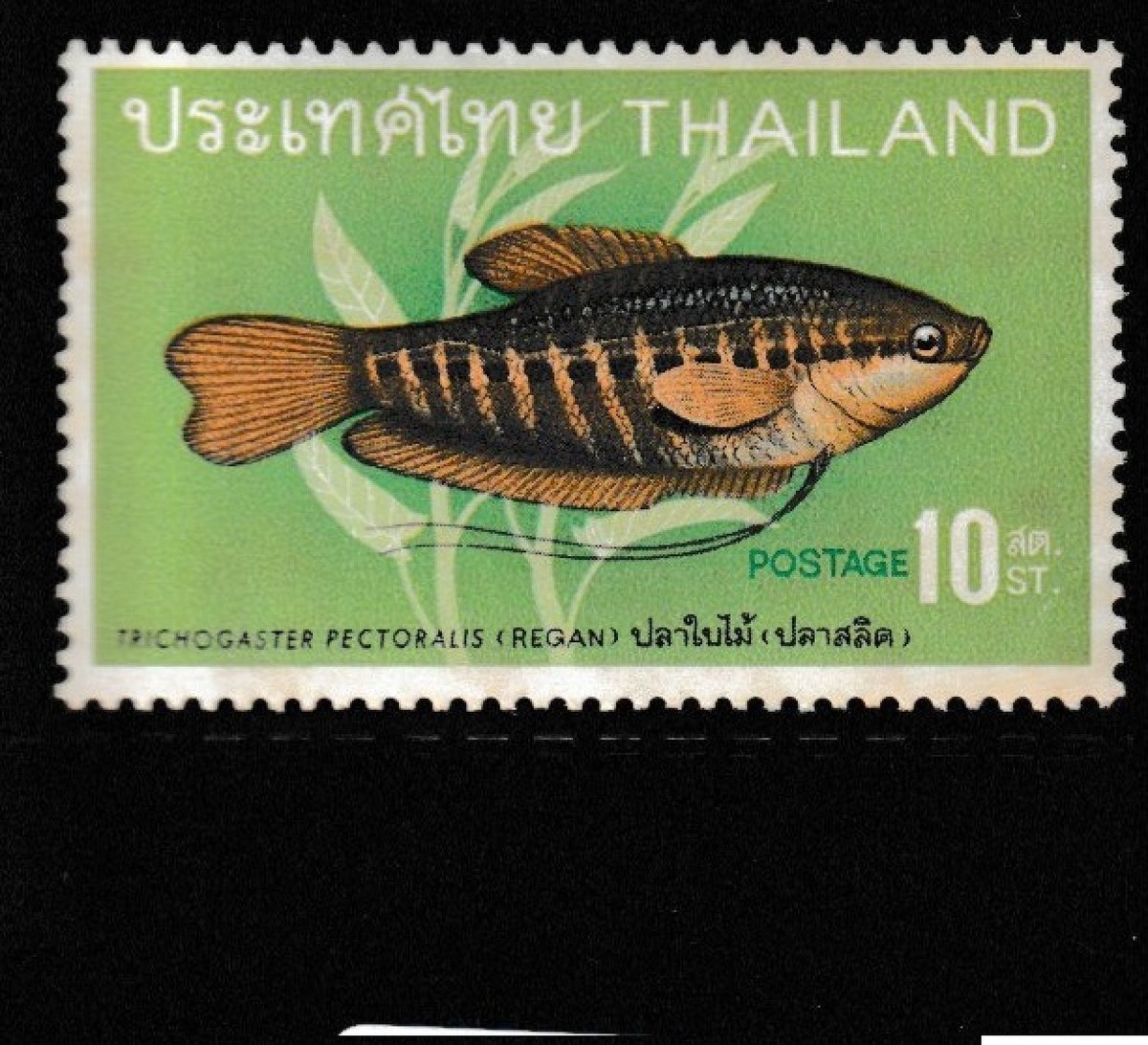 THAILAND STAMP MNH Commemorative MINT unused WM5673 | eBay