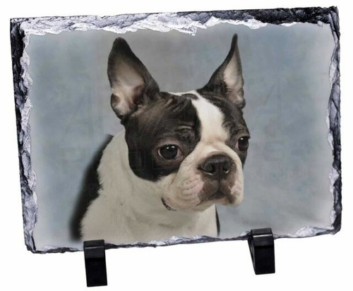 Black Shih Tzu Dog Crew Socks -Unisex