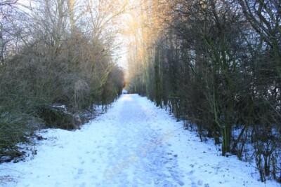 Foto 6x4 Gleis von der Kelty Seite Keltybridge Track in die Lochore Me c2009
