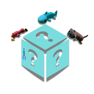 Mystery Box Random 3D Printed Mini Figure BuildInk Collectible Toy