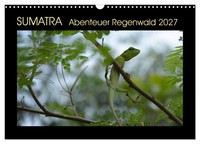 Calendar 2027 · US Version · Sumatra Rainforest Adventure (Wall Calendar 2027 17
