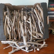  DRIFTWOOD PIECES.     Arts & crafts. 200 X SMALL  sterilised Cornish Driftwood 