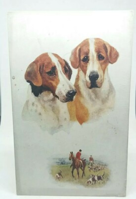 Vintage antike Biesen Oilette Postkarte Foxhounds Foxhunting Beagle Hunde 