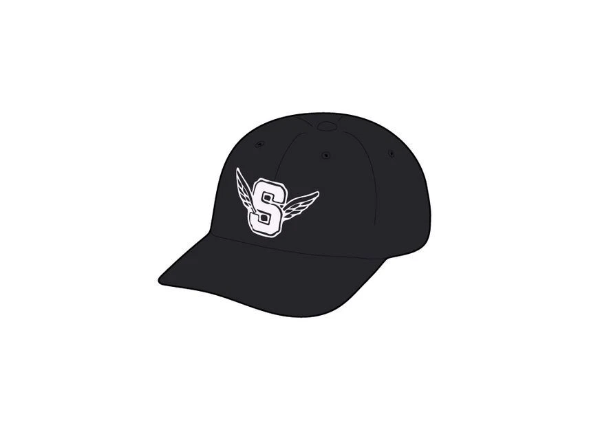 Logo Supreme Wings 6 panneaux noir
