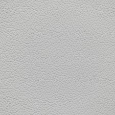 Mercedes Orion Gray Light Leather Dye