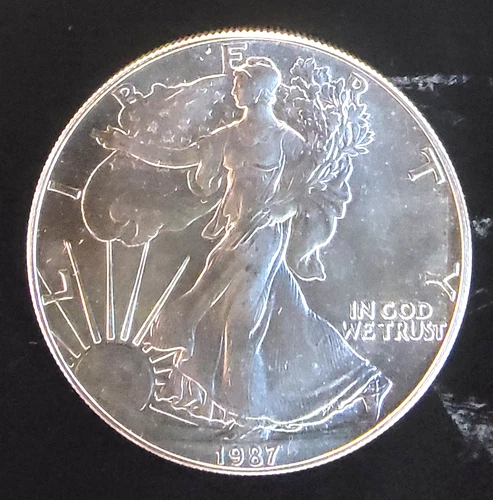 1987 American Eagle Toned Walking Liberty Bullion Vtg-0.999 Silver 1 Oz Coin 1p