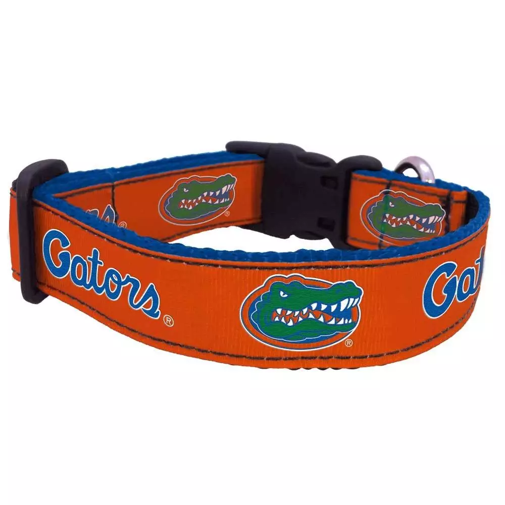 Florida gators top dog collar