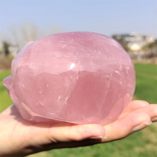 2.17LB Natural Rose Quartz Carved Skull Quartz Crystal Skull Decor Reiki Gift - Bild 10 von 12