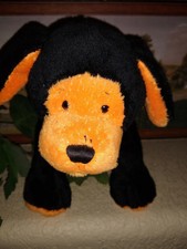 webkinz pumpkin puppy
