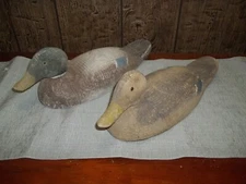 MALE & FEMALE Older Vintage/Antique Primative 16" Wood Carved Mallard Duck Decoy