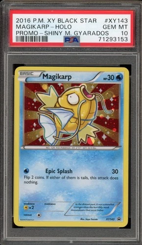 Pokemon Magikarp Shiny M Gyarados Black Star Holo Promo XY143 PSA 10 Gem Mint