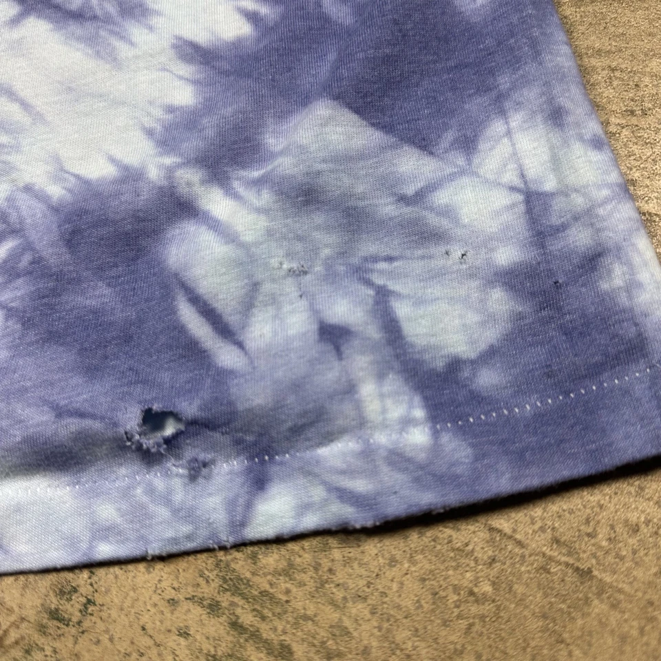 Camiseta vintage años 80 LED ZEPPELIN CORBATA AZUL 1984 CANCIÓN DEL CISNE etiqueta mediana América Foto 4 de 4