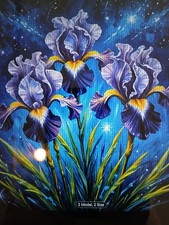 Stamped Cross Stitch Night Iris' 40x40cm 14ct 26 Colors, Project Bag