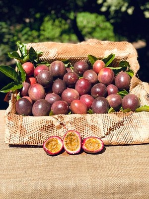 Fresh California Farm to Table Passion Fruit Box - 8Lbs, Purple, Sustainable