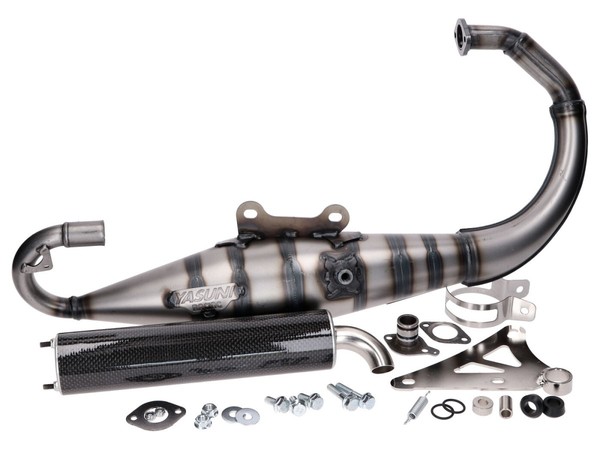 Auspuff Yasuni Carrera 10 Carbon-Look FüR Minarelli Stehend TUB317-2C-image