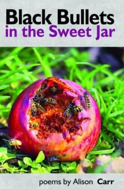 Black Bullets in the Sweet Jar by Alison Carr PAPERBACK 9781739173036