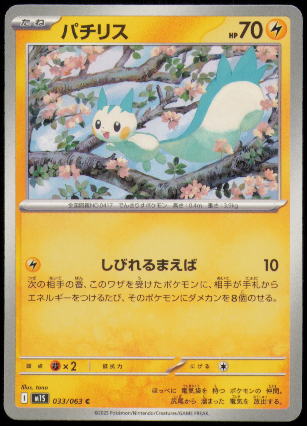 Pachirisu 033/063 Common Mega Symphonia Pokemon Japanese Near Mint