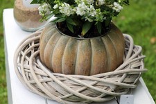 Rattankranz Natur Grau-Weiß - Adventskranz Rohling aus Holz Ø 20-50 cm