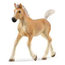 Schleich: Horse Club - Cavallo Puledro Avelignese PVC Figure SCHLEICH