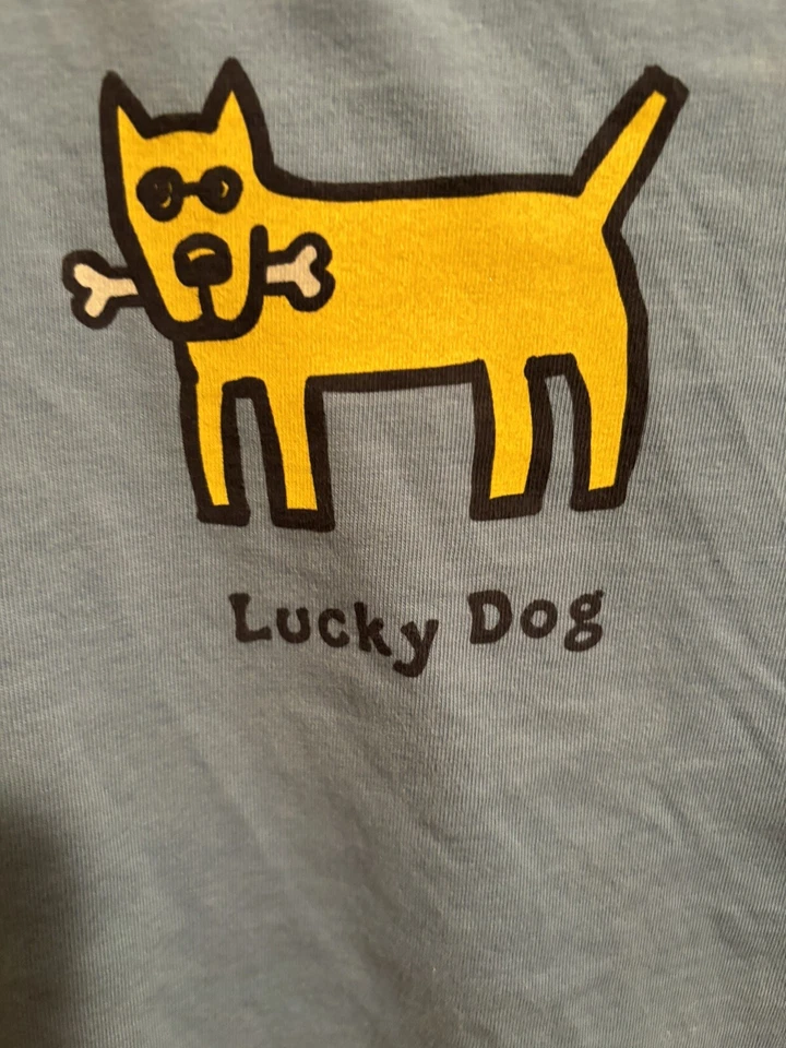 Camiseta Life Is Good Boys S 5/6 Azul Claro Manga S “Lucky Dog” Usada en Excelente Condición Foto 3 de 4