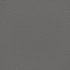 Lexus Dark Gray Leather Dye