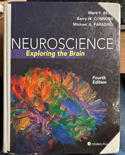 Neuroscience : Exploring the Brain Hardcover by  Bear w/access code