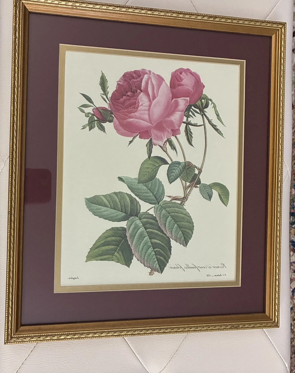 pierre joseph redoute products for sale | eBay