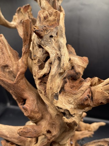 Acquario Driftwood Wood Mix Acquascape Naturale Design Unico - Fangspire Ascent - Foto 2 di 9