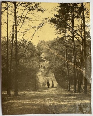 orig. Foto Berlin Westend Weg nach Pichelsberg 1900 Charlottenburg 