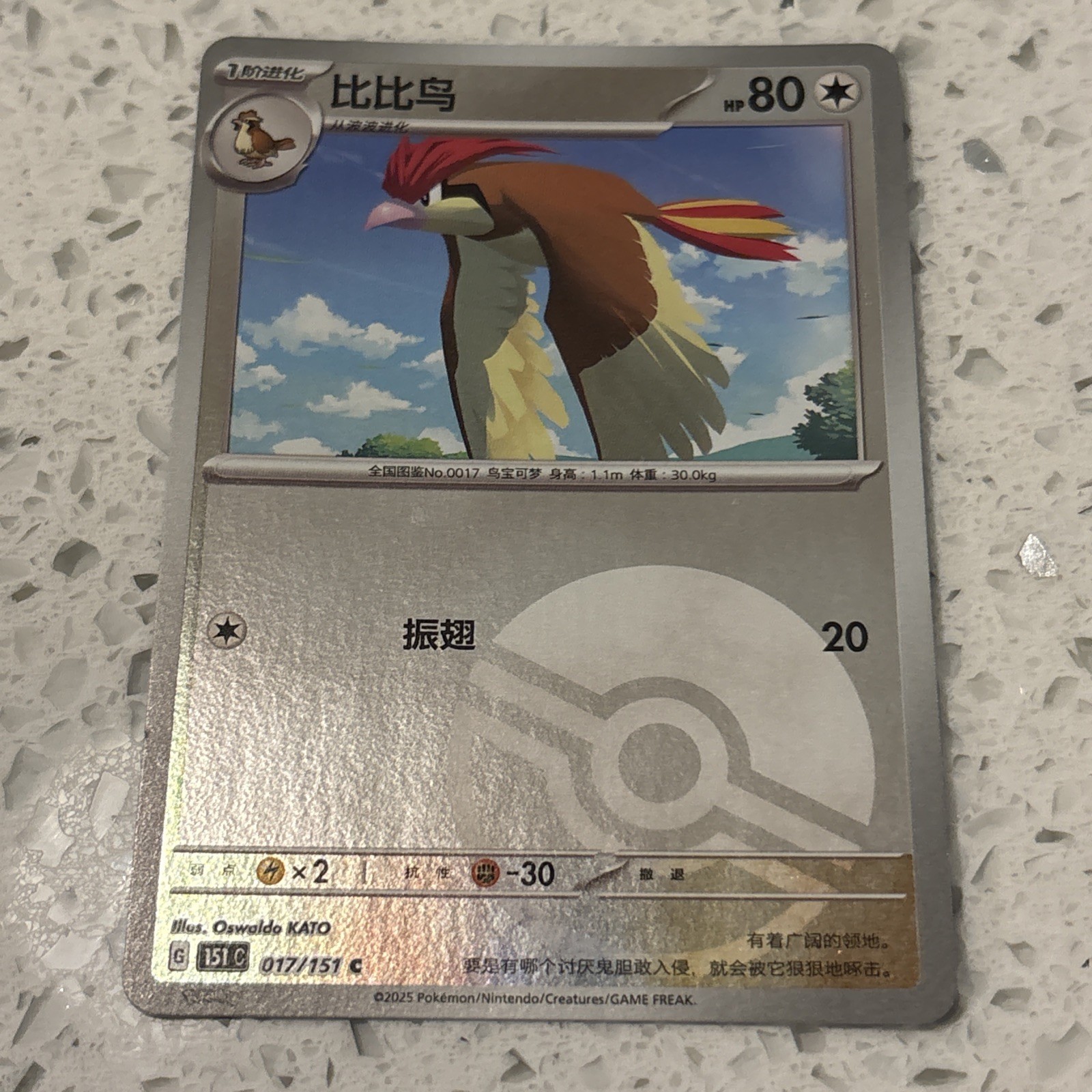 Pidgeotto Reverse Pokeball Holo 17/165 Pokemon Surprise 151C Pokemon Card