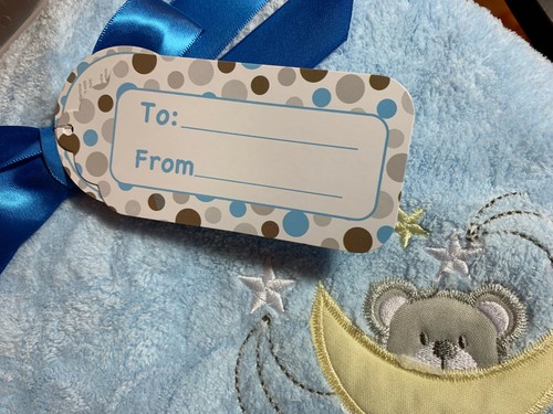 TEDDY BEAR MANTA INFANTIL SUAVE FELPA AZUL NWT 30"W X 40"L CUNA PARA BEBÉS ZAK & ZOEY - Imagen 6 de 7