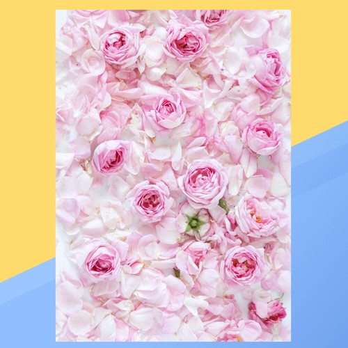 Photo Studio fond tissu 3D photographie toile de fond accessoires - Photo 4/11