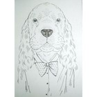 Bild 8 von 12