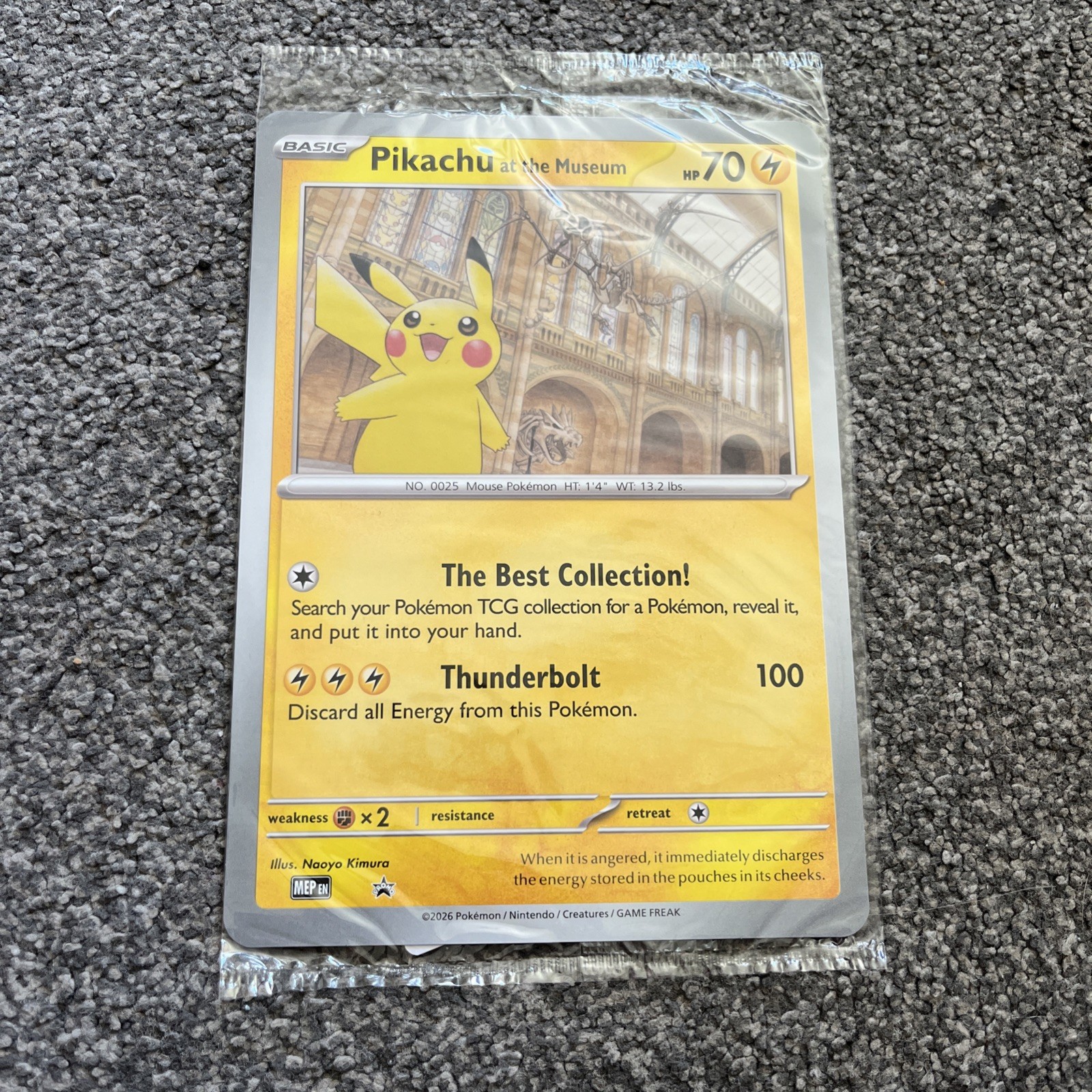 Pikachu At The Museum OVERSIZED Promo Card - Natural History Museum - SEALED 