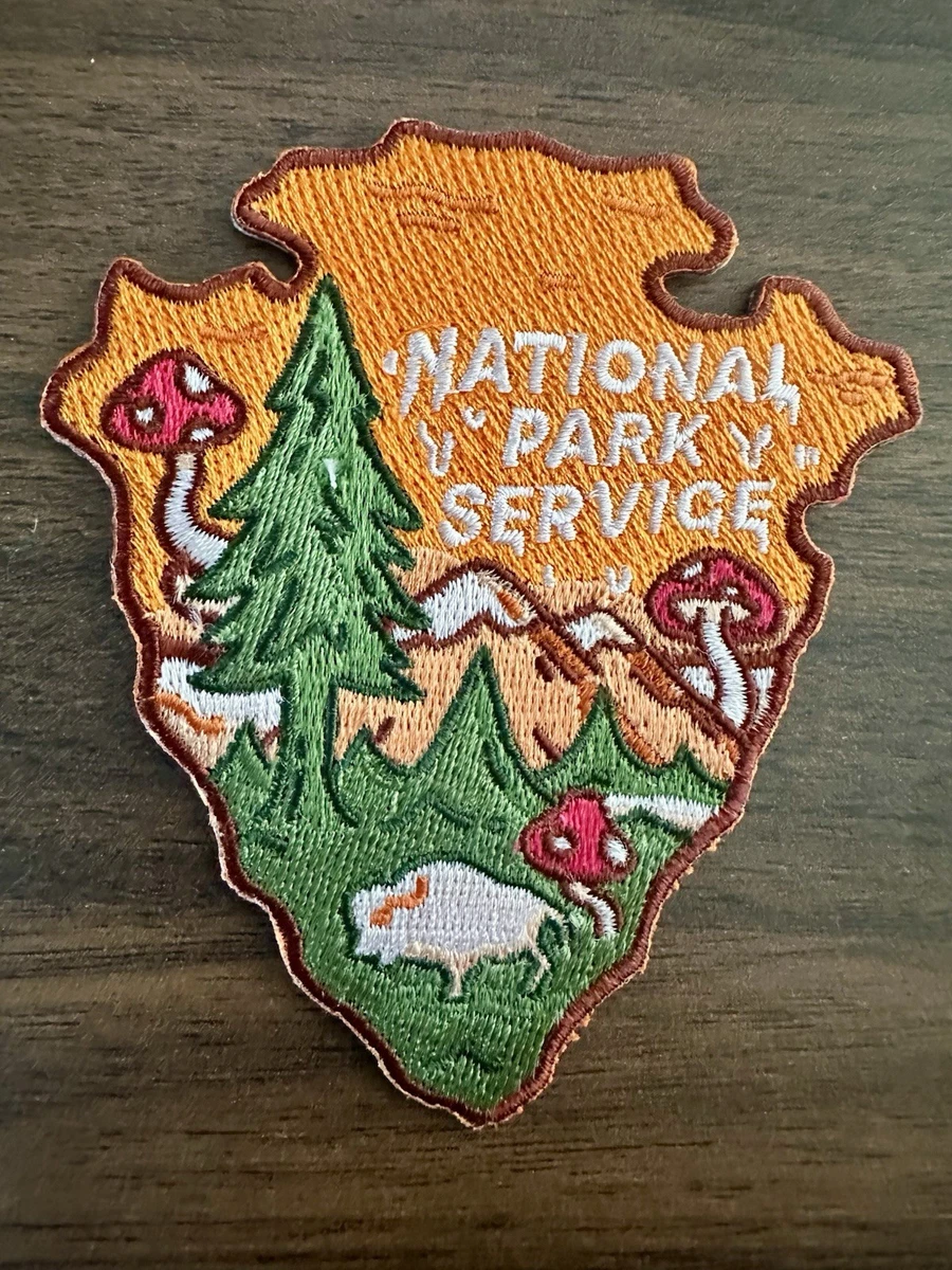 25+ NASA Program Collectibles for sale | Updated Oct 2026