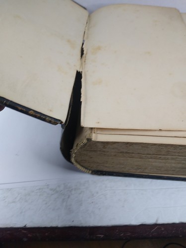 1877 King's New American Family Physician By John King - Afbeelding 10 van 19