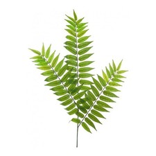 Artificial Tall Fern Foliage for Floral Displays 86cm Green Crocodile Fern Spray