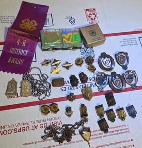Vintage 1960s 70s 4-H Club Pins, Badges, and Award Ribbon Collection