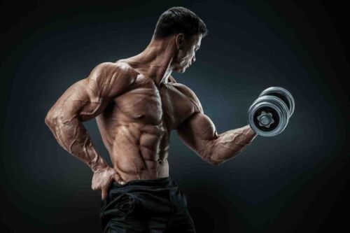 strong natural energy booster - UNLEASH YOUR WOLF - maca root pill-2 Bottle 120C - Picture 12 of 12