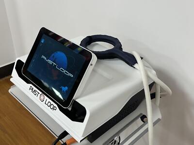 Pro PMST Loop Equine PEMF Treatment Magnetic Horse Injury Therapy Machine