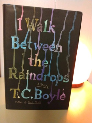 I Walk Between the Raindrops : Stories by T. C. Boyle (2022, Hardcover)