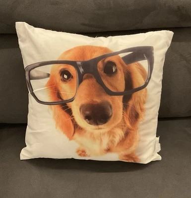 Kinder Deko Kissen Sofa Kissen Hund mit Brille 40x40cm - Bild 1 von 2