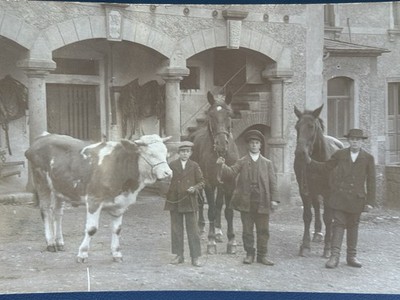   Photo Farm Horses Cow Men Agriculture Circa 1910 Building 1904 Postcard 14x9