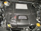Picture 12 of 12
