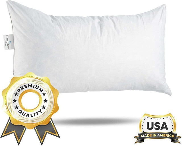 ComfyDown 95 Feather 5 Down, 12 X 18 Rectangle Decorative Pillow Insert, Sham for sale online | eBay