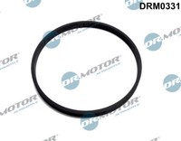 Dr. Motor Automotive DRM0331 Dichtung, Drosselklappe FüR Ford
