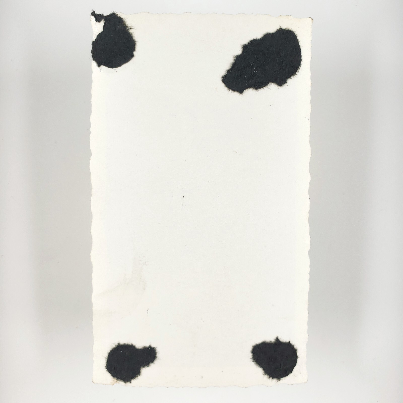 Yosemite Park Falls Bridge Photo 1940s Vintage California Snapshot Art