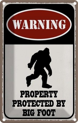 Blechschild 18x12 cm Warning property protected by Warnschild Hinweisschild Sich