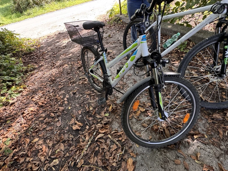 Damen Fahrrad 26 Zoll mit LED Licht - Bild 2 von 4