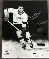 Detroit Red Wings Collecting and Fan Guide 77
